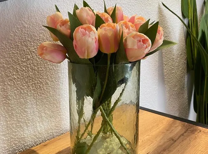 Gran Via, Centrico, Aire Acondicionado 아파트 살라망카